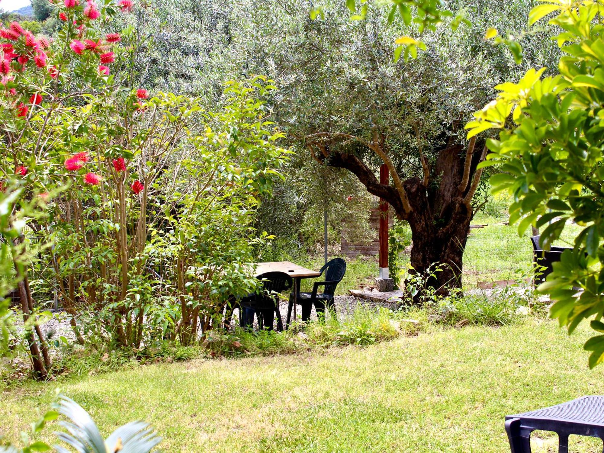 Villa Pelau - Holiday Home Jerzu Exterior foto